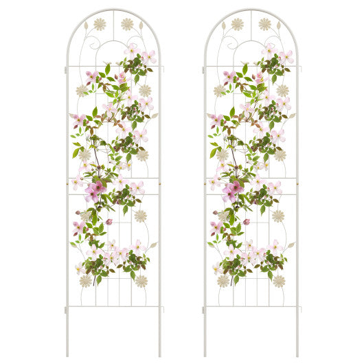 2 Pack 71 x 20 Inch Metal Garden Trellis Rustproof Plant Support for Climbing Plants-White Discount